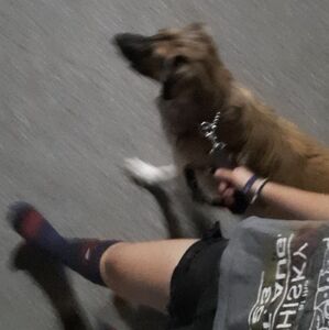 Meet your Posher, Isabella